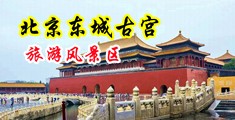 内射美穴中国北京-东城古宫旅游风景区